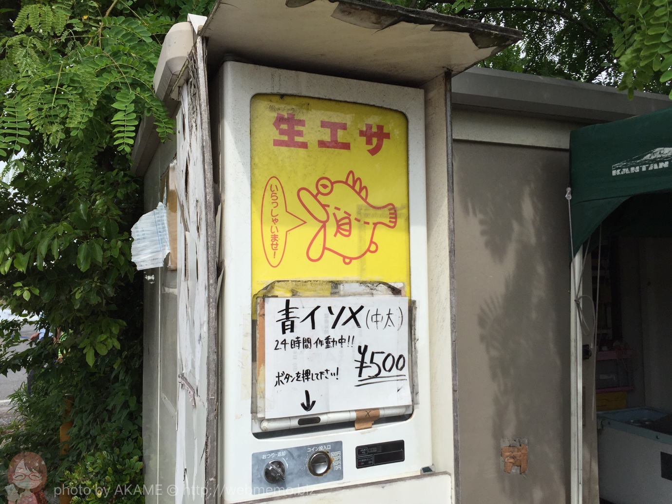 東扇島西公園の駐車場・トイレ・餌情報