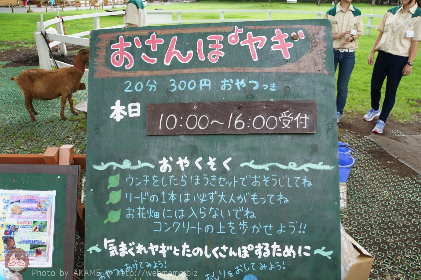 おさんぽヤギ 料金・時間・注意事項