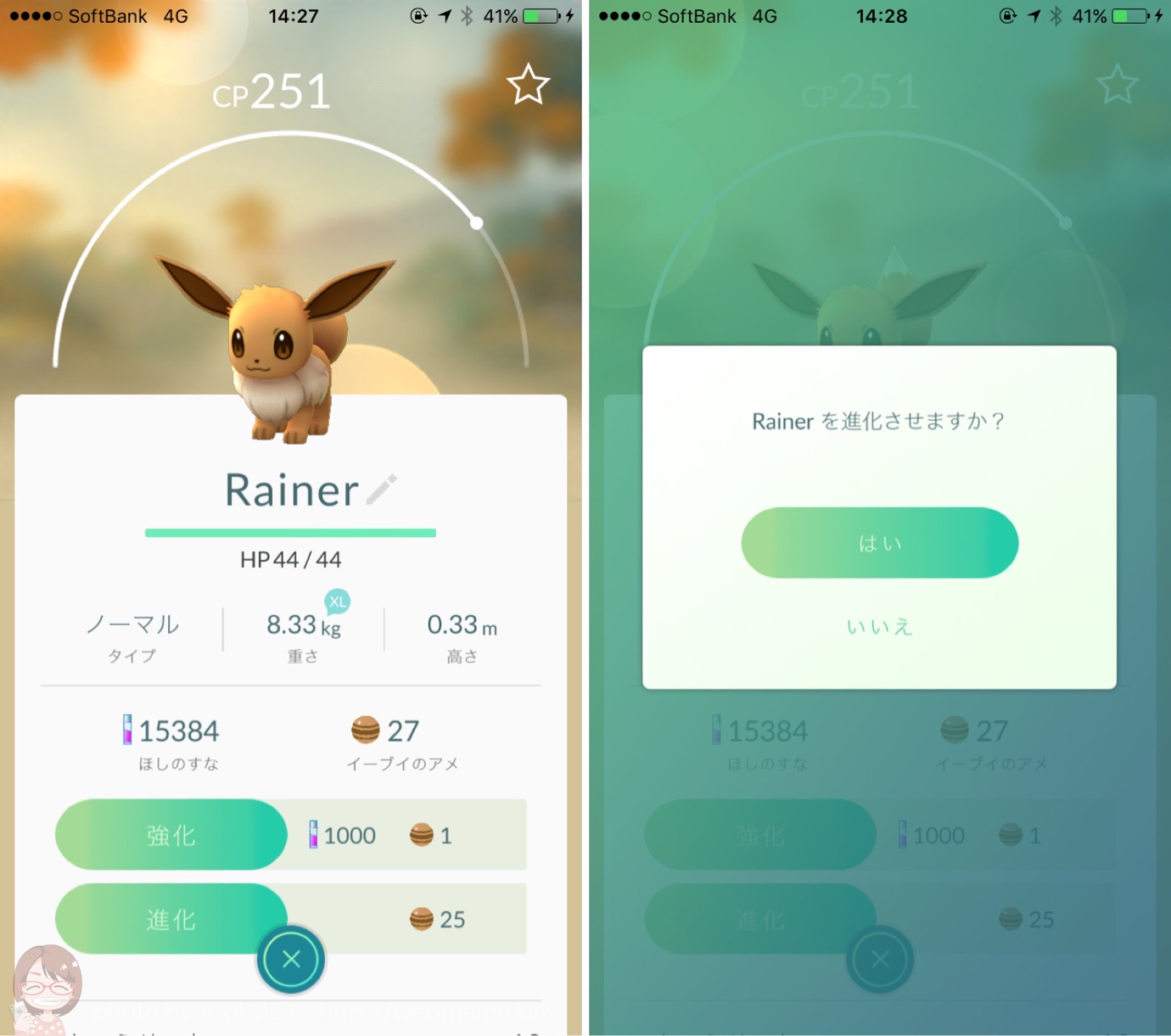 イーブイの名前を変更