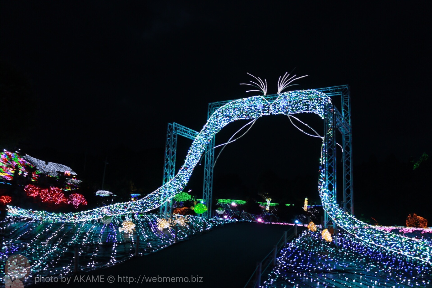 グランイルミ イルミネーションの様子