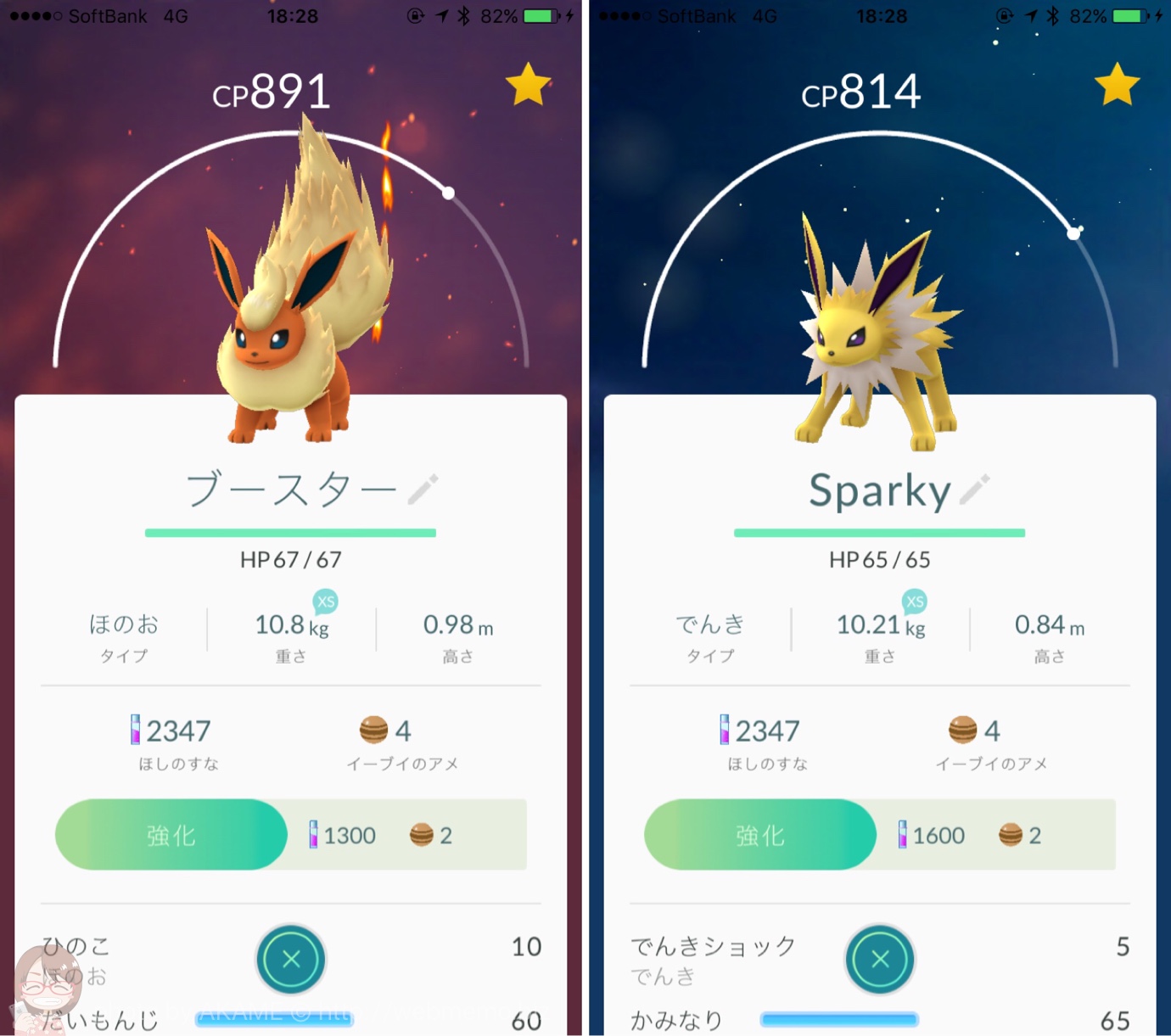 ブースター・サンダース