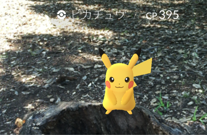 ポケモンGO 巣に行く前は要確認!大量にいたミニリュウ・ブーバー・ピカチュウが消えた