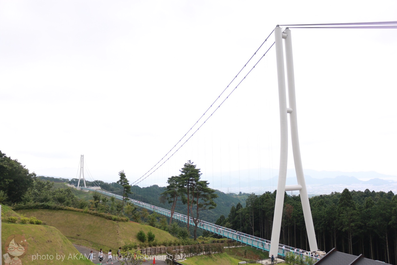 三島スカイウォーク 全景
