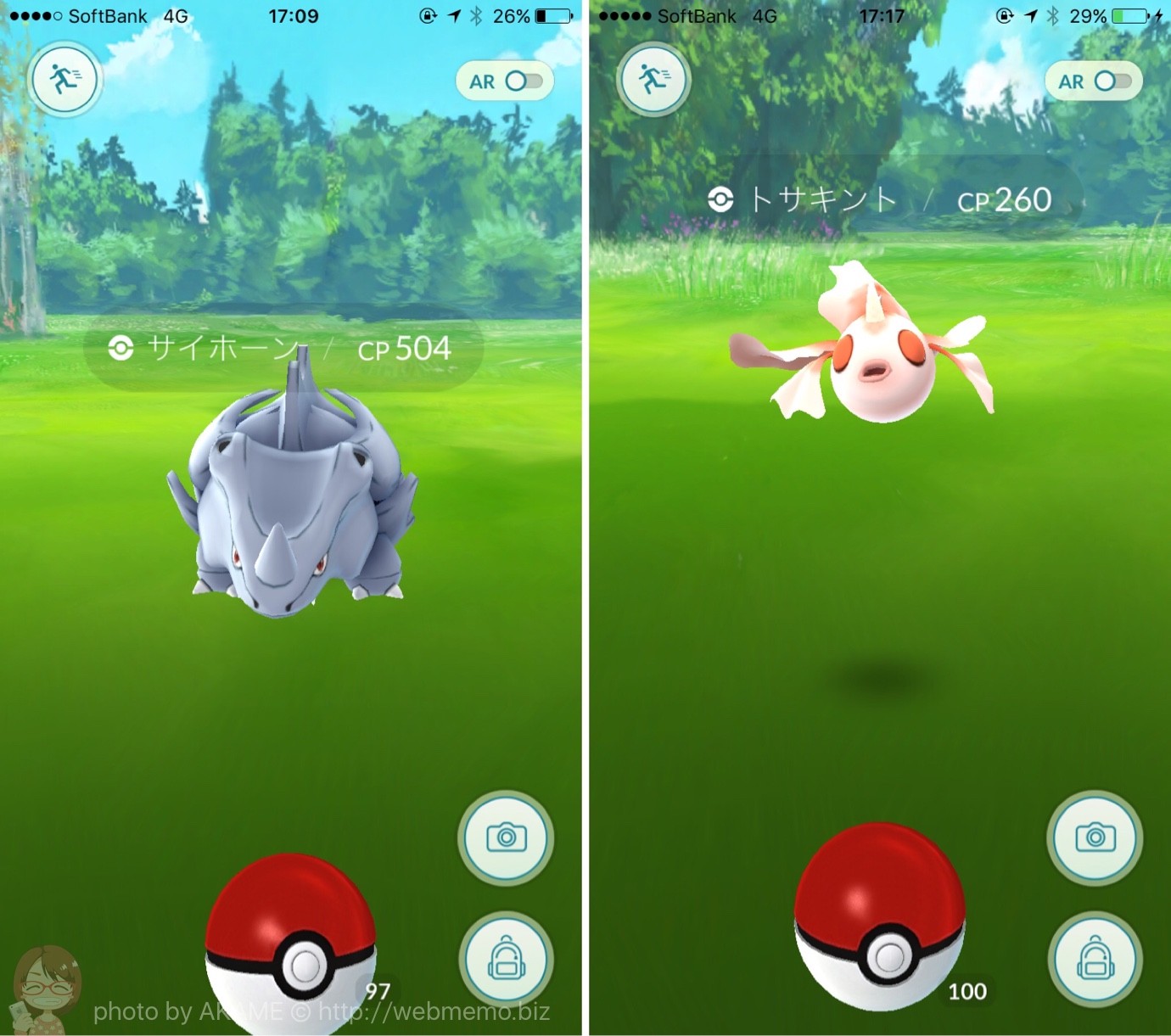 出現ポケモン:サイホーン・トサキント