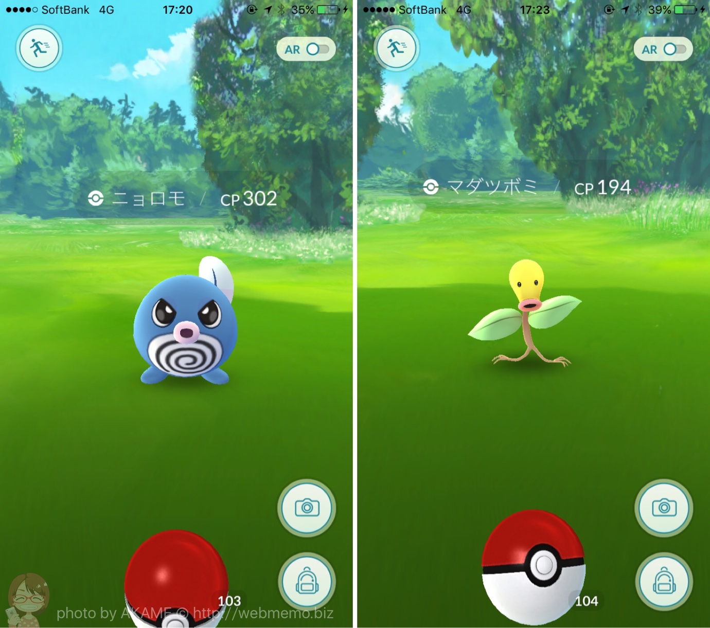 出現ポケモン:ニョロモ・マダツボミ