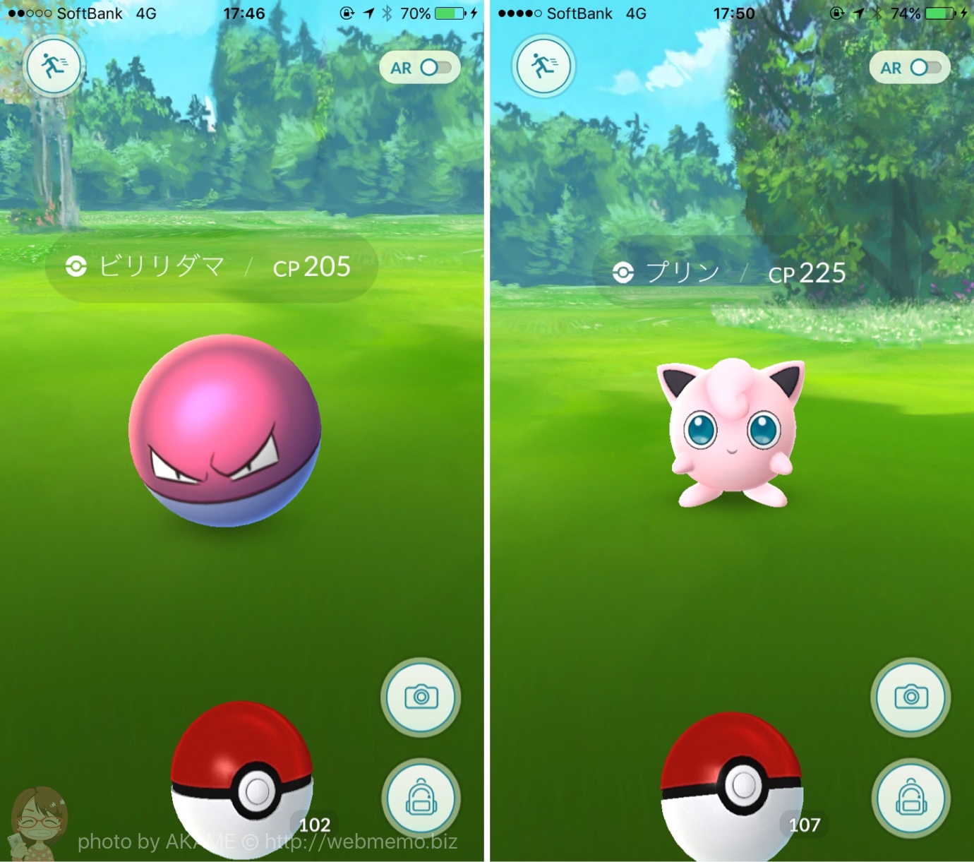出現ポケモン:ビリリダマ・プリン
