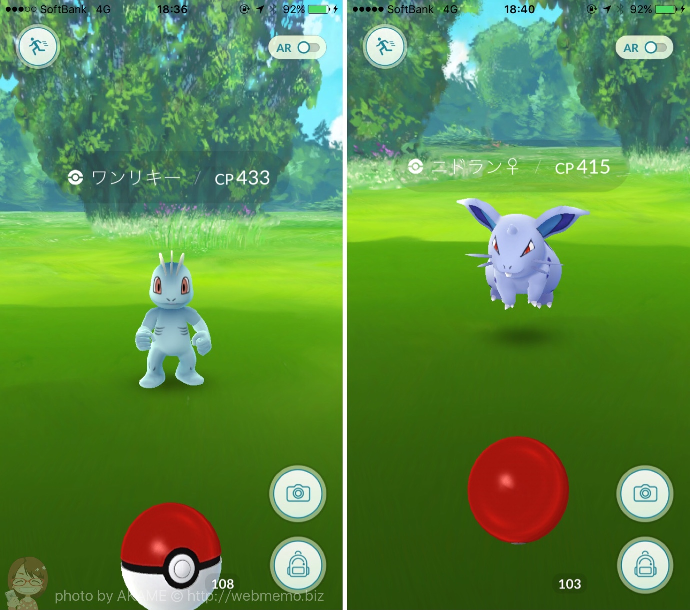 出現ポケモン:ワンリキー・ニドラン♀