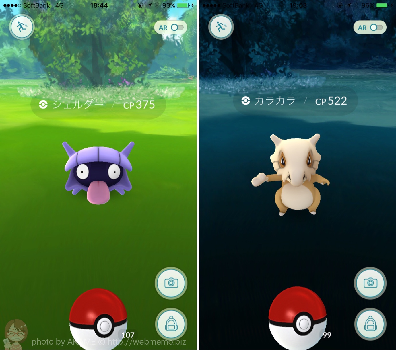 出現ポケモン:シェルダー・カラカラ