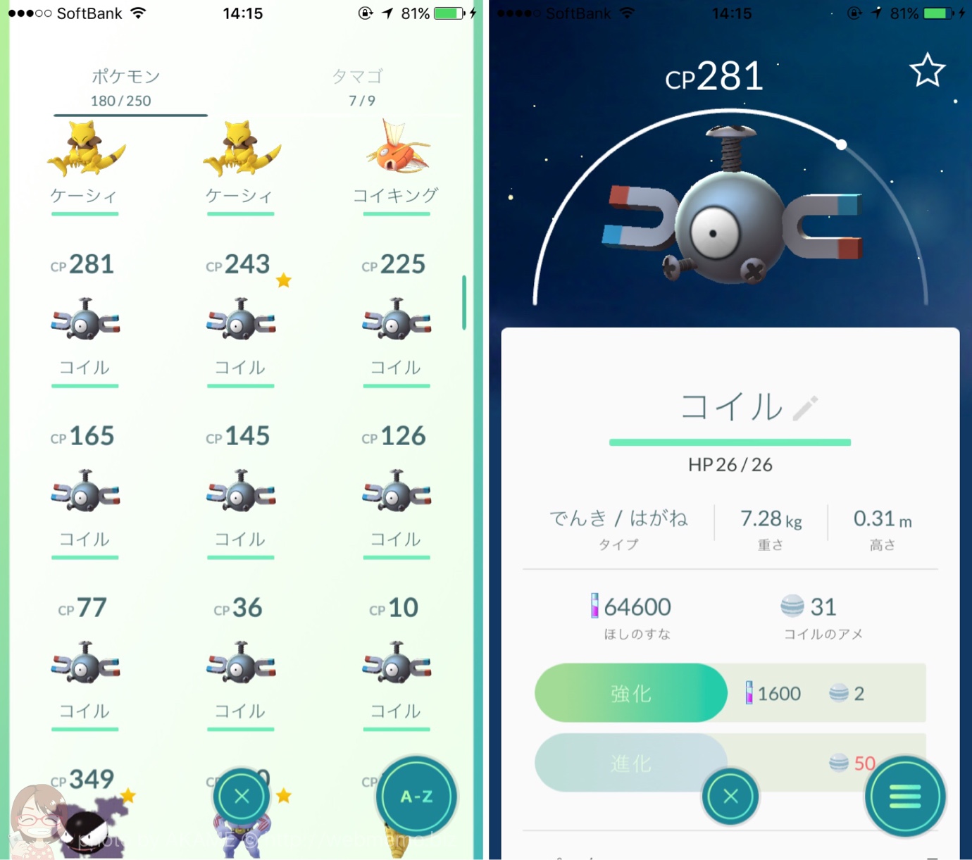 コイルの巣