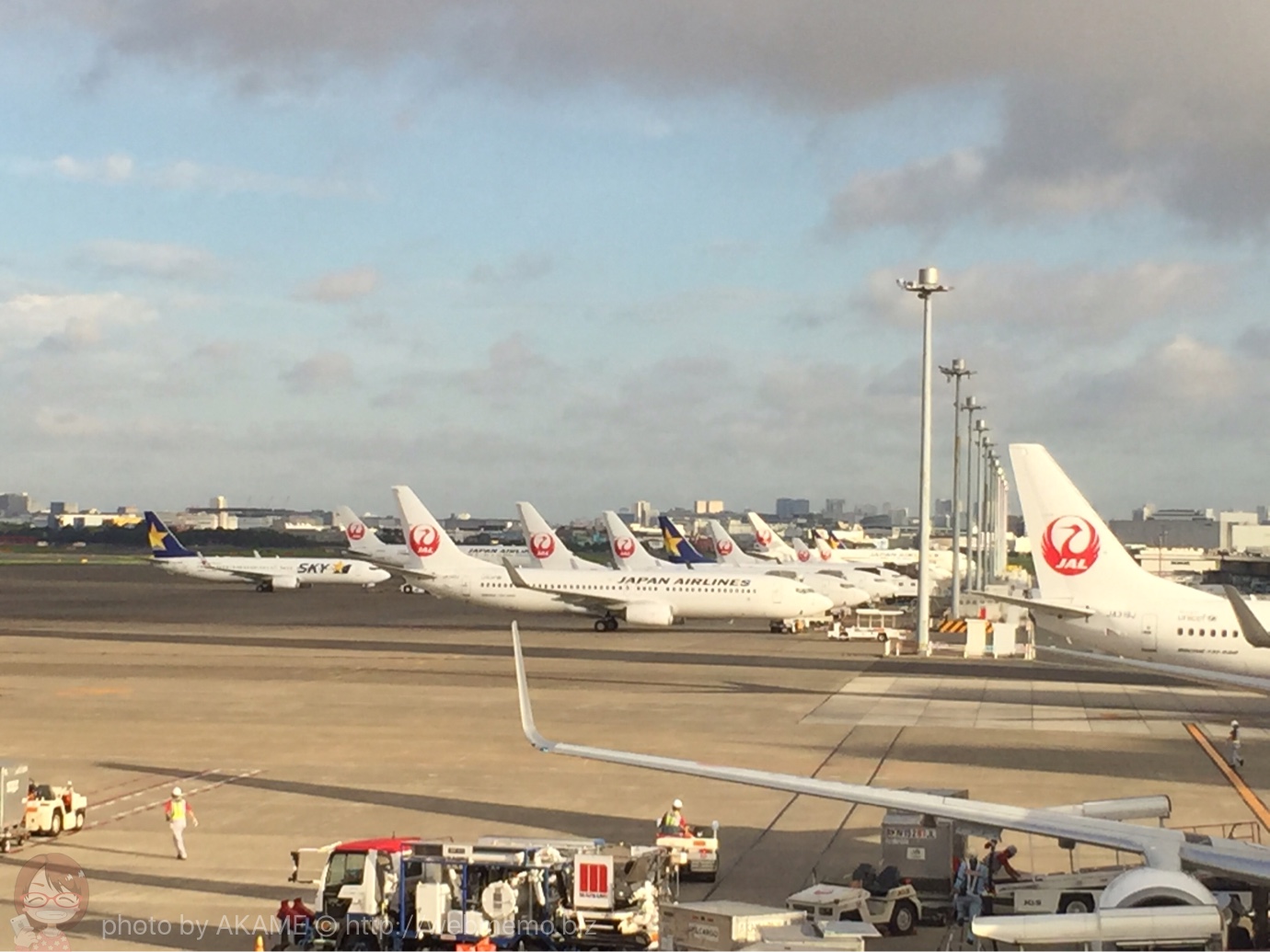 JALマイレージって搭乗後も家から登録できるのね!初めてマイル貯めました