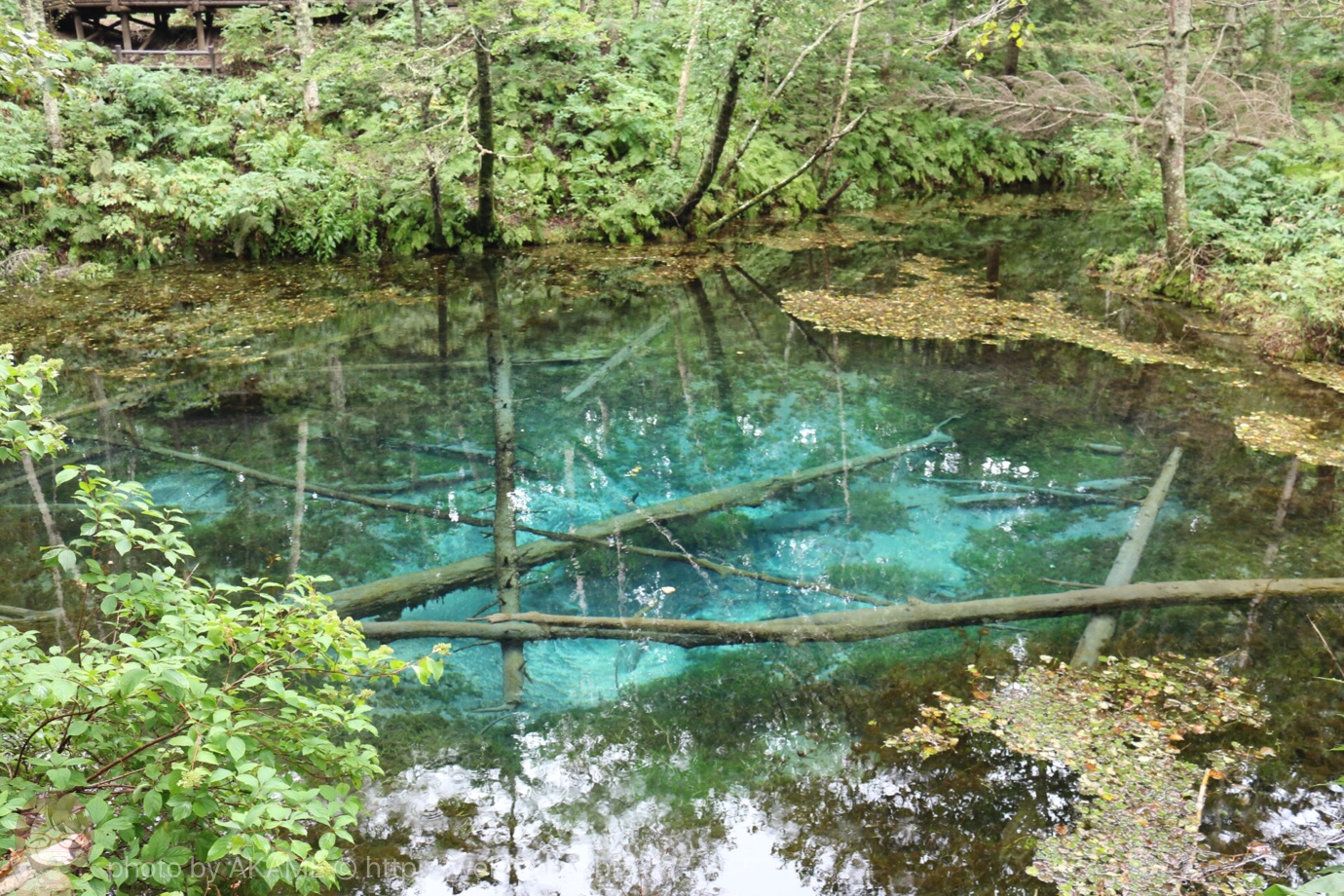 神秘的すぎる!コバルトブルーの「神の子池」は誰もが見惚れる(北海道・清里)