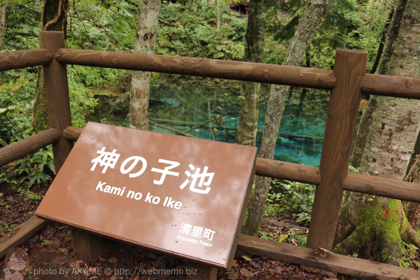 神の子池の看板