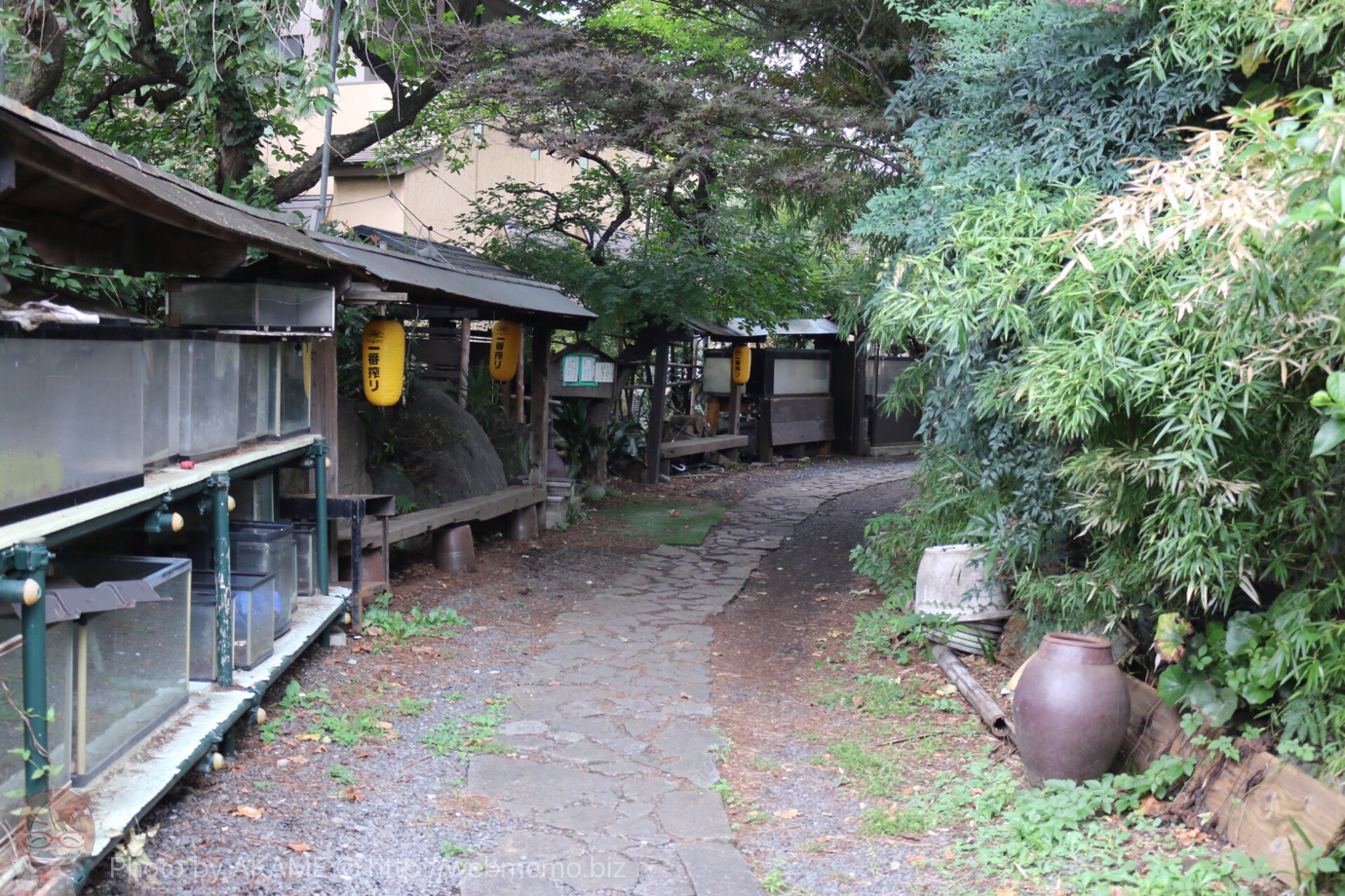 鮒宿までの通り