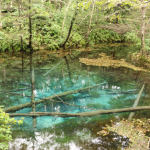 [Å] 神秘的すぎる！コバルトブルーの「神の子池」は誰もが見惚れる（北海道・清里）