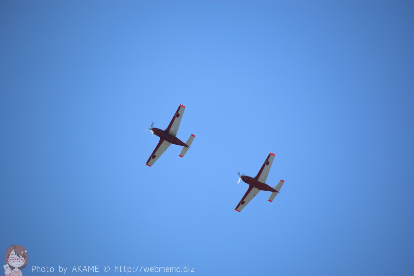 T-7（機動飛行）の展示飛行の様子