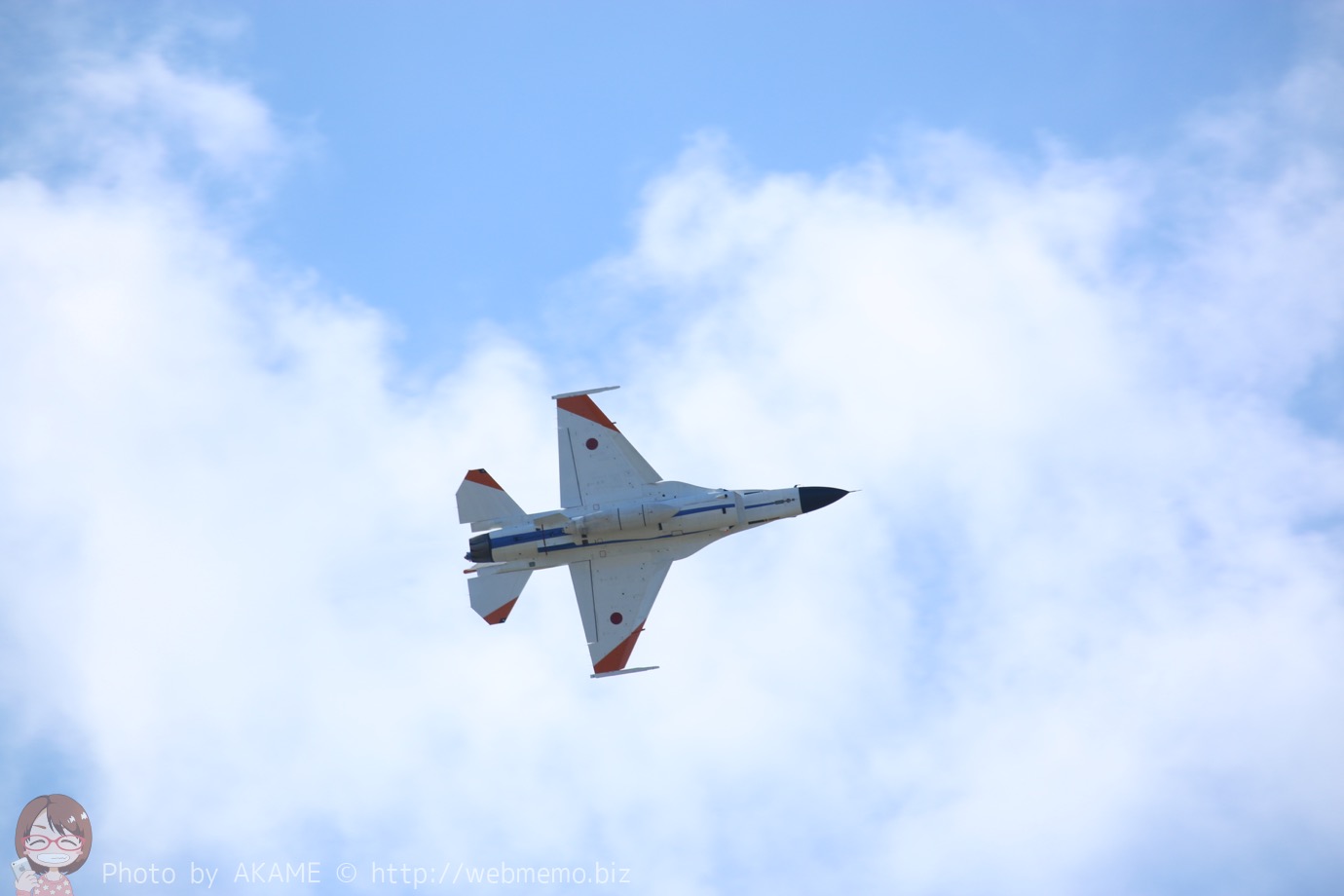 F2（機動飛行）の展示飛行の様子