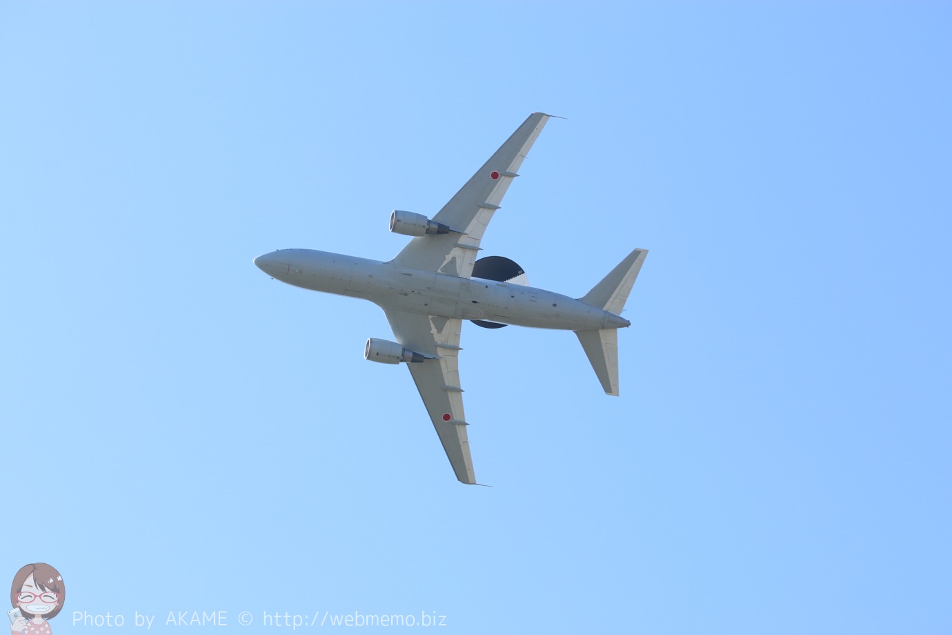 E-767（航過飛行）の展示の様子
