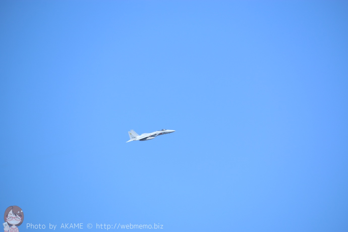 F-15J（機動飛行）の展示飛行の様子