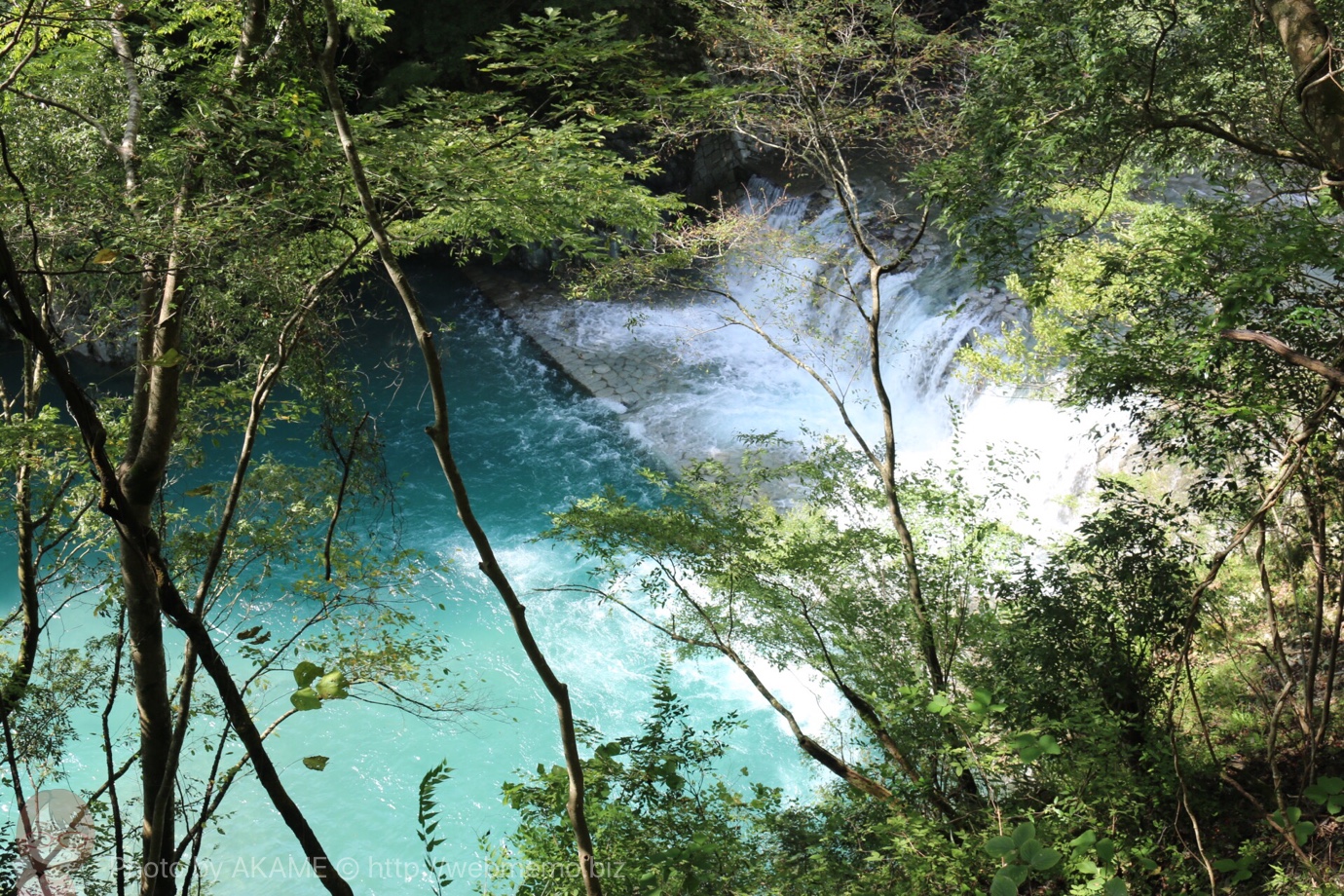 神奈川の秘境「ユーシン渓谷」はハイキング初心者も楽しい!ライト必須の真っ暗トンネルも