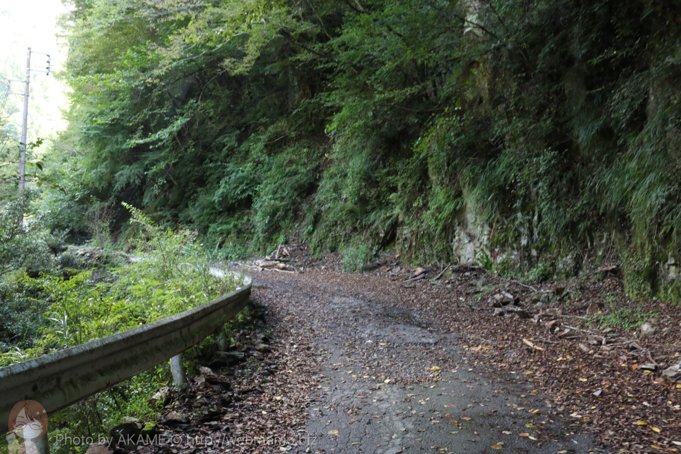 ユーシン渓谷 道中