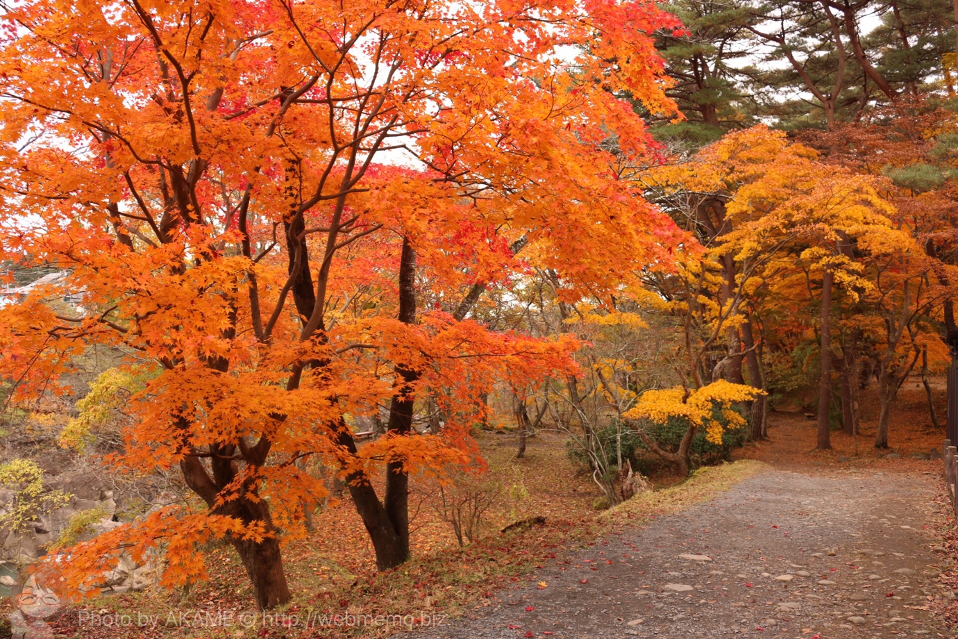 厳美渓周辺で紅葉狩り