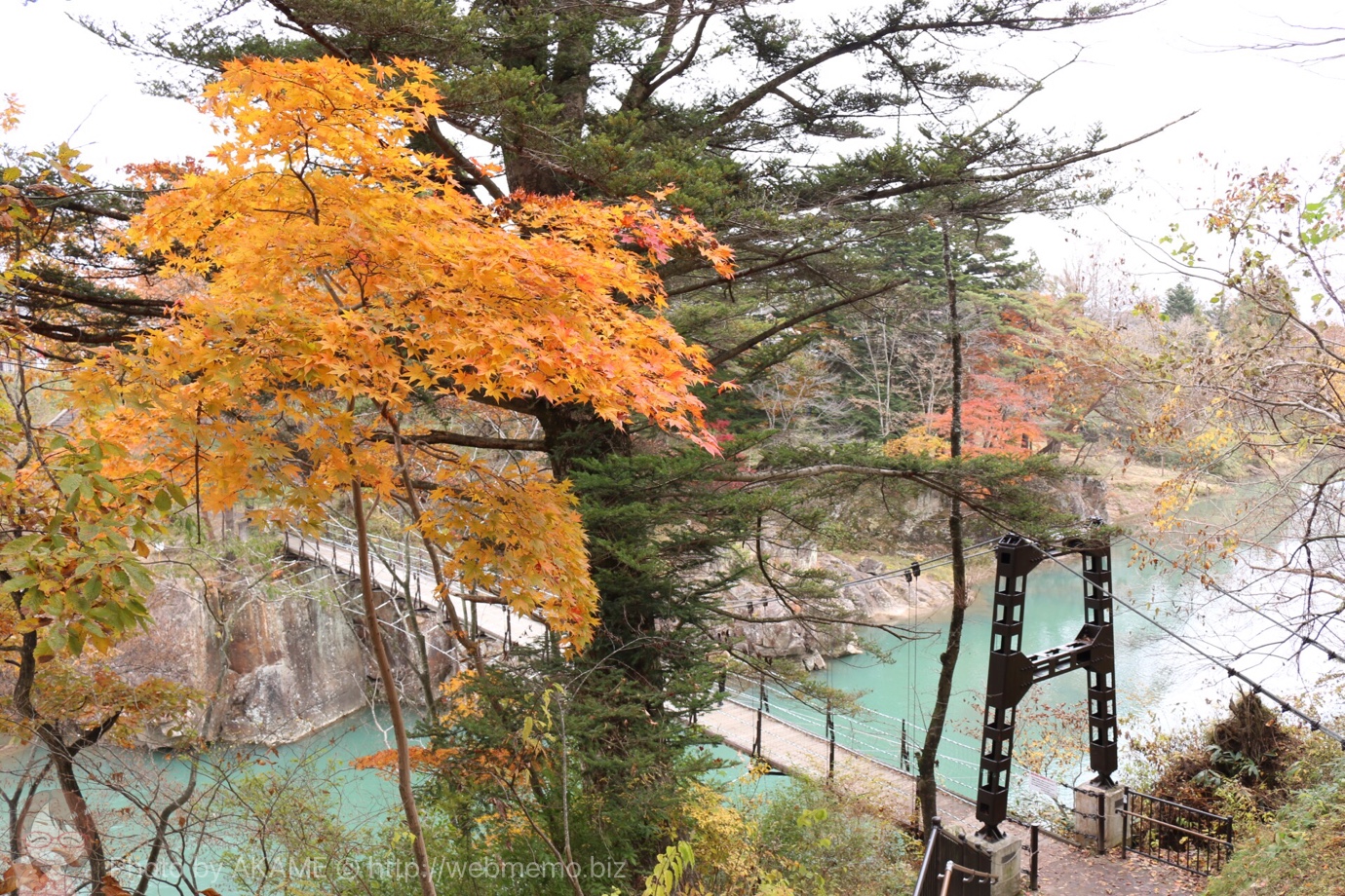 吊り橋と紅葉