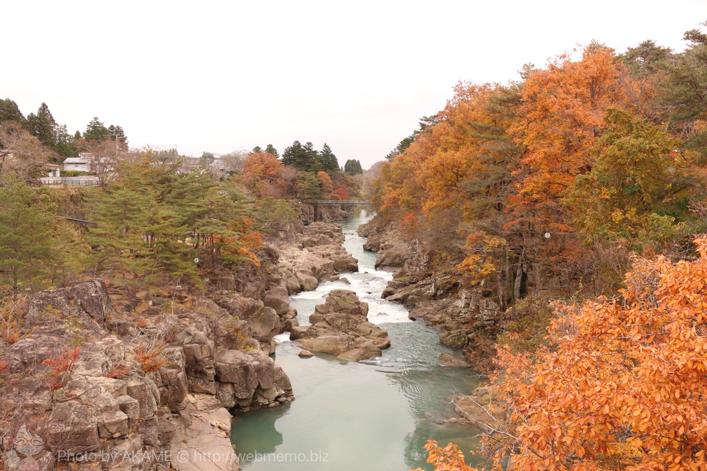 川と紅葉
