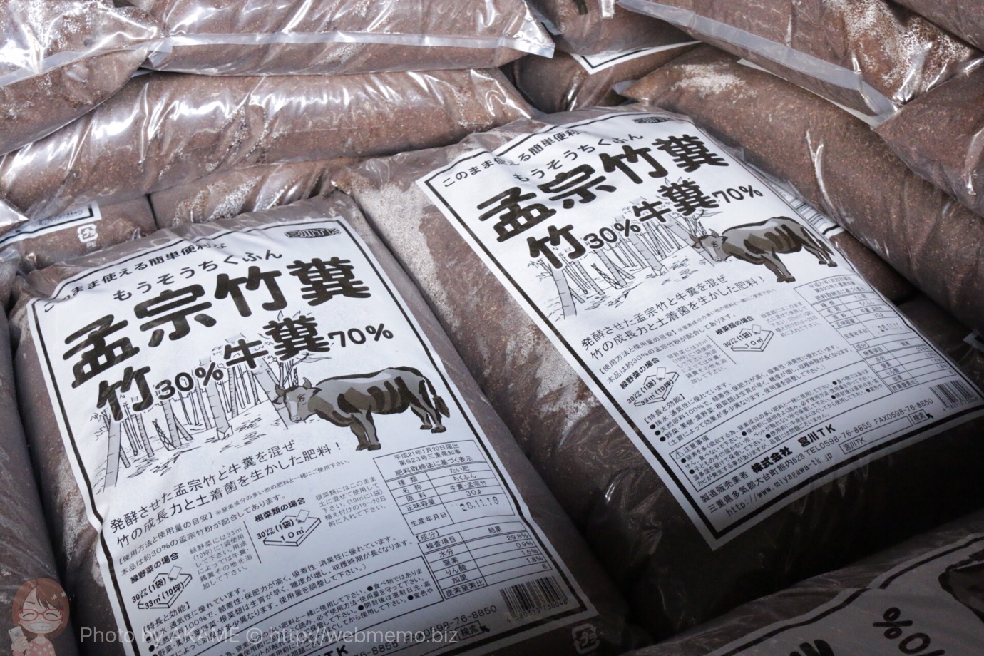孟宗竹糞