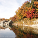[Å] 長瀞の紅葉が絶景すぎてヤバい！ライン下りをするなら予約大切