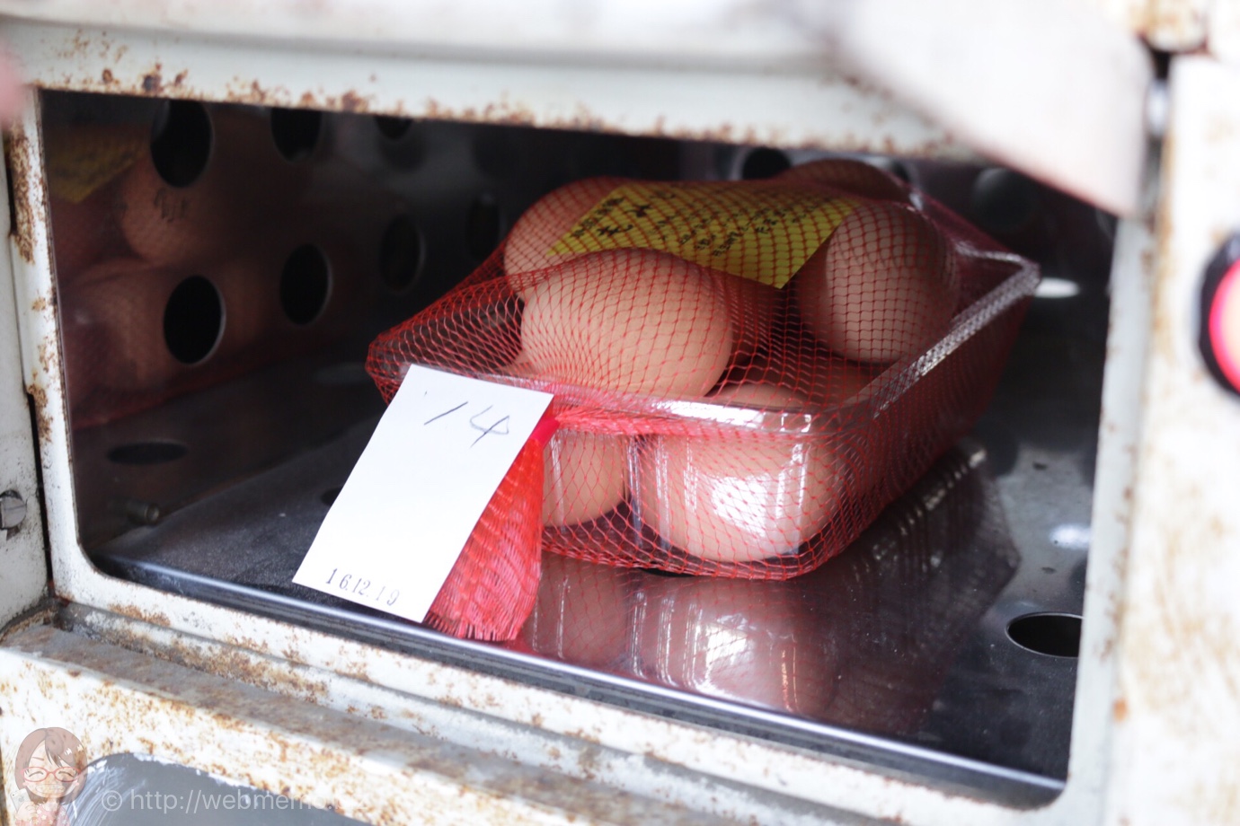 千葉県君津市でたまごの自販機を体験！持ち帰りに悩んだけど味が全然違って大満足