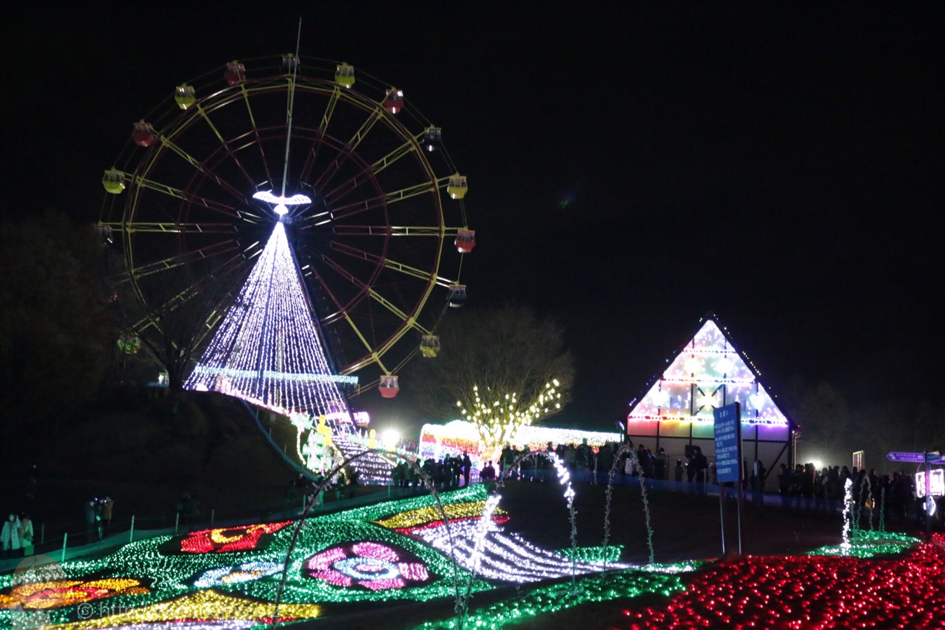 東京ドイツ村 イルミネーション