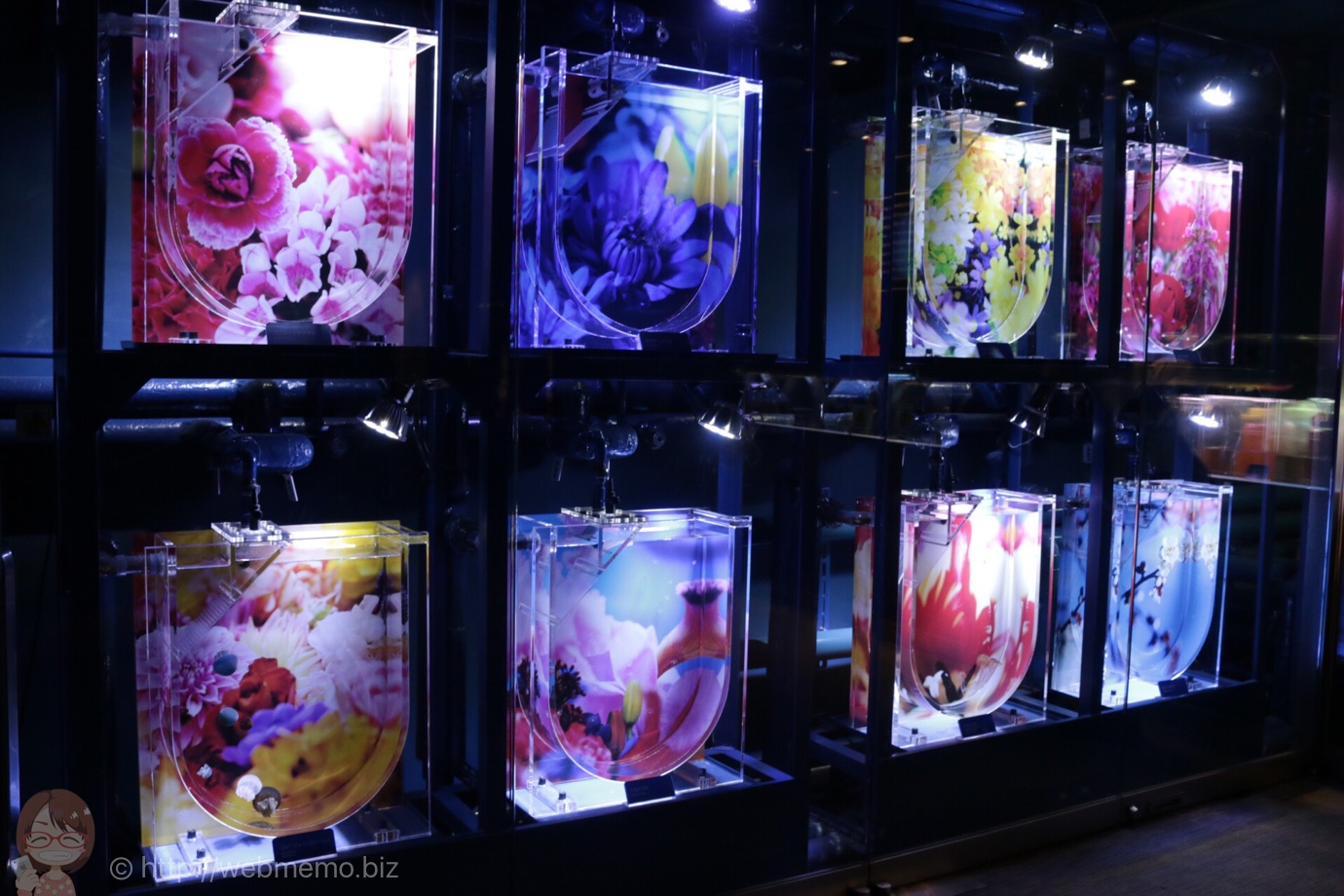 すみだ水族館の蜷川実花 × クラゲ作品に大興奮…期間限定だから早く見た方がいい!!
