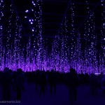 [Å] 関東三大イルミネーション制覇！あしかがフラワーパークのイルミネーションを見て来た（栃木県）