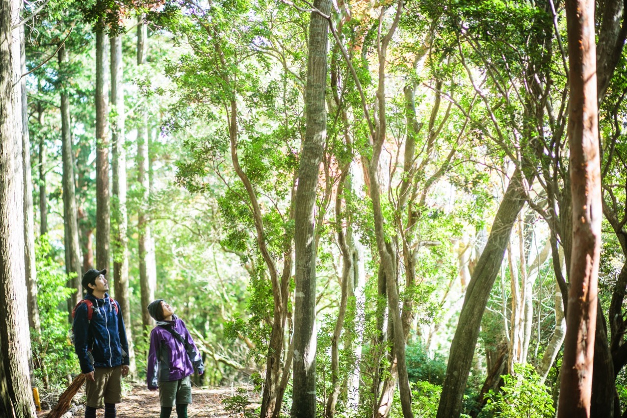 総門山 登山