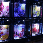 [Å] すみだ水族館の蜷川実花 × クラゲ作品に大興奮…期間限定だから早く見た方がいい！！