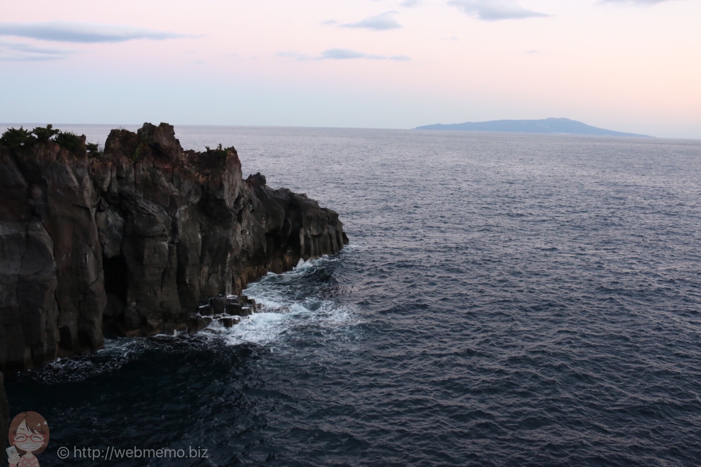 城ヶ崎から見た大島