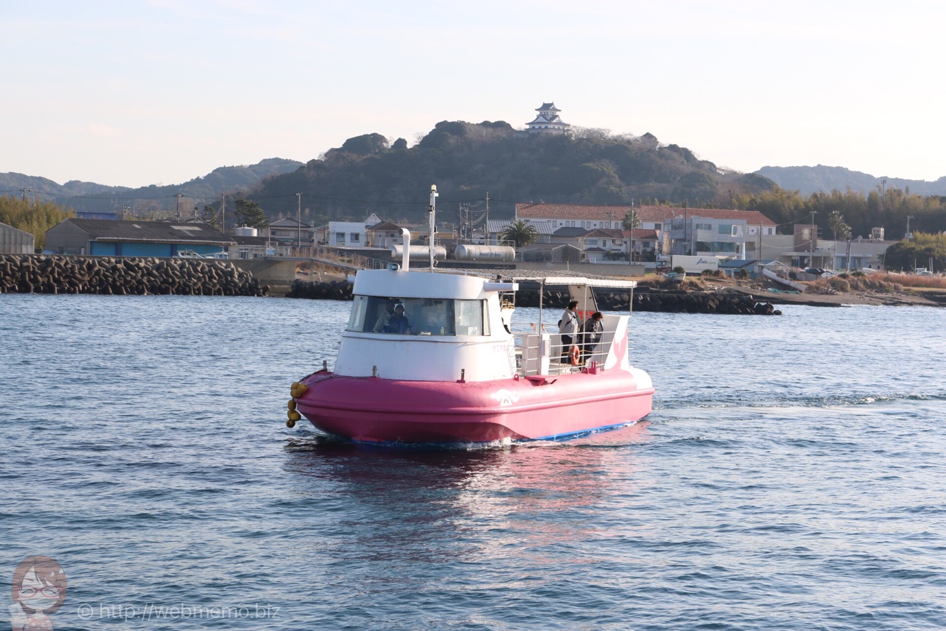 海中観光船 たてやま号