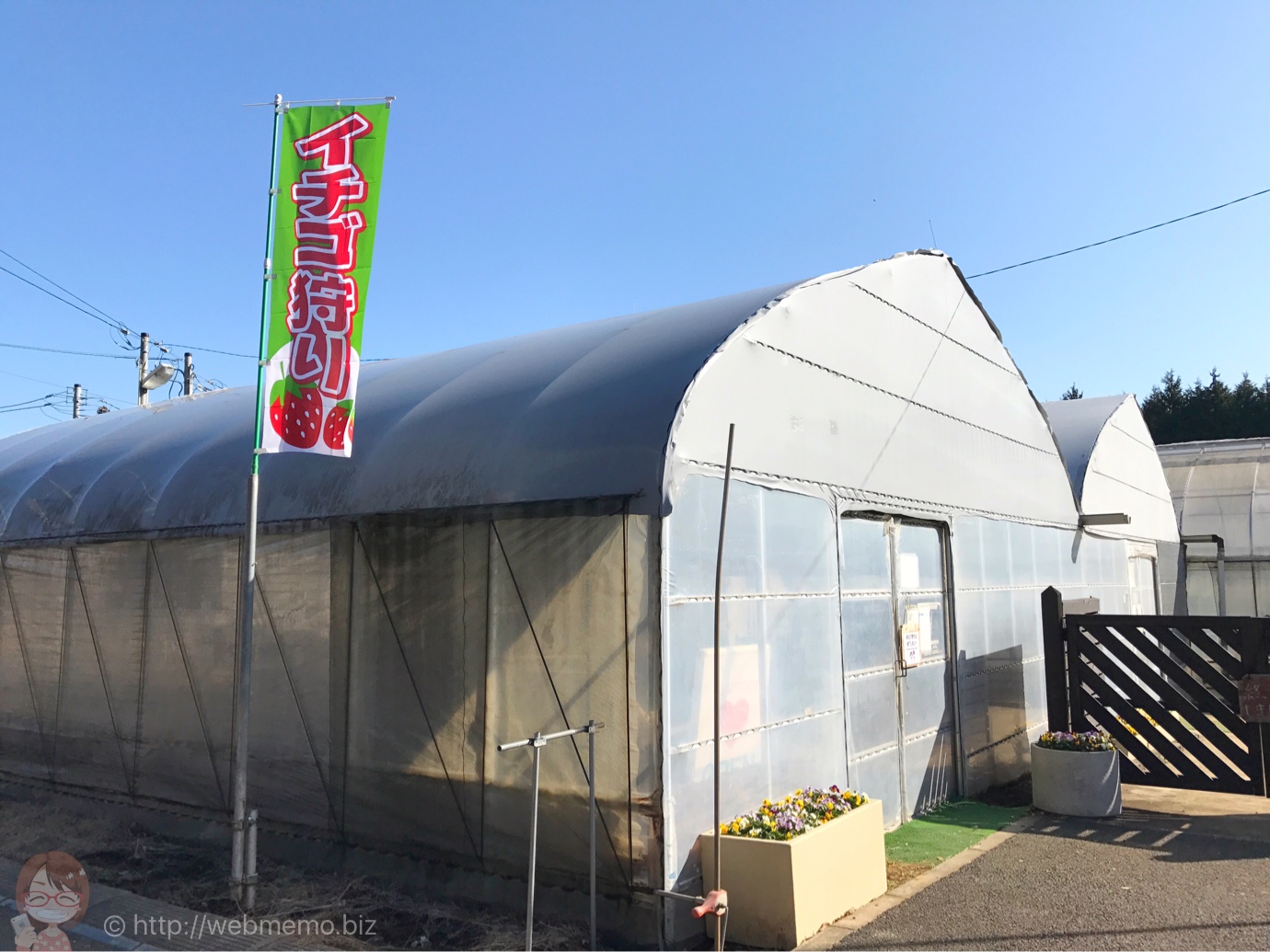ドラゴンファーム
