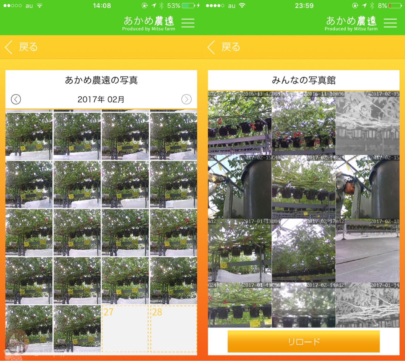 撮影した写真