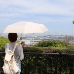 [Å] 荷物濡れを防ぐ！軸をずらした新発想な折りたたみ傘「Sharely」（雨晴兼用）
