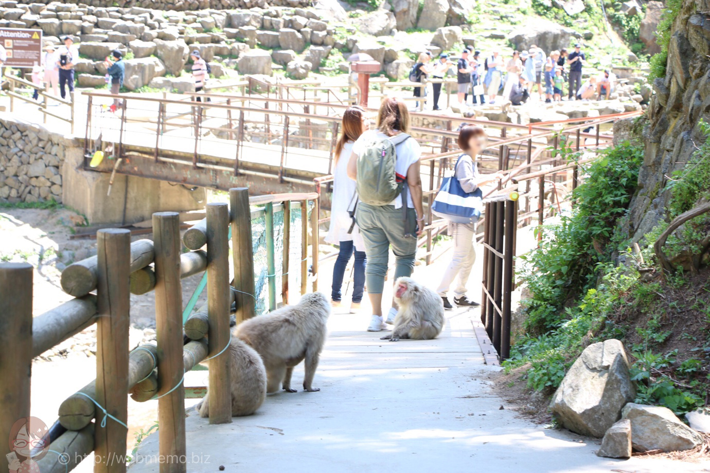 地獄谷野猿公苑