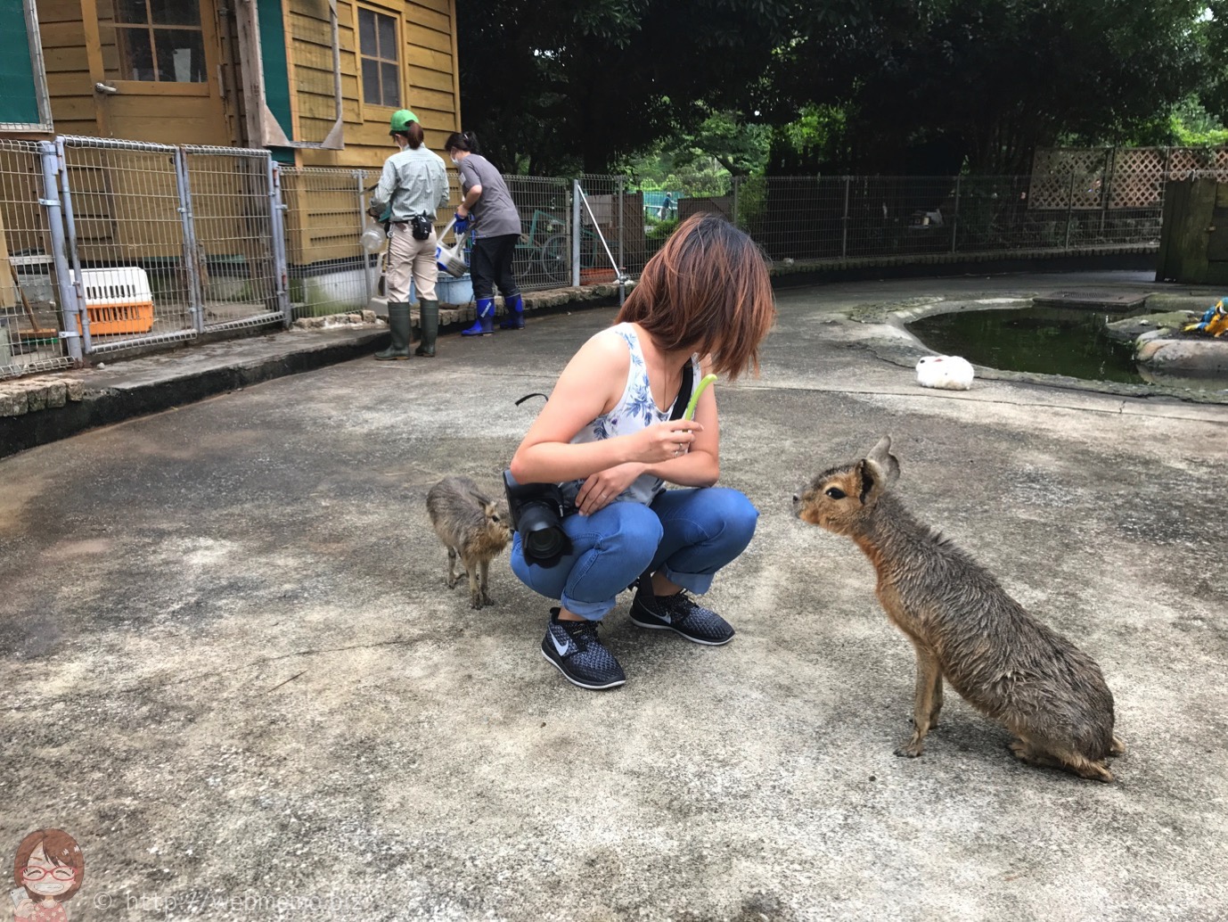 マーラに囲まれる