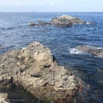 神奈川県・猿島の磯（オイモノ鼻）で初釣り！大きめギンポとベラ多めの釣果 [釣り録15]