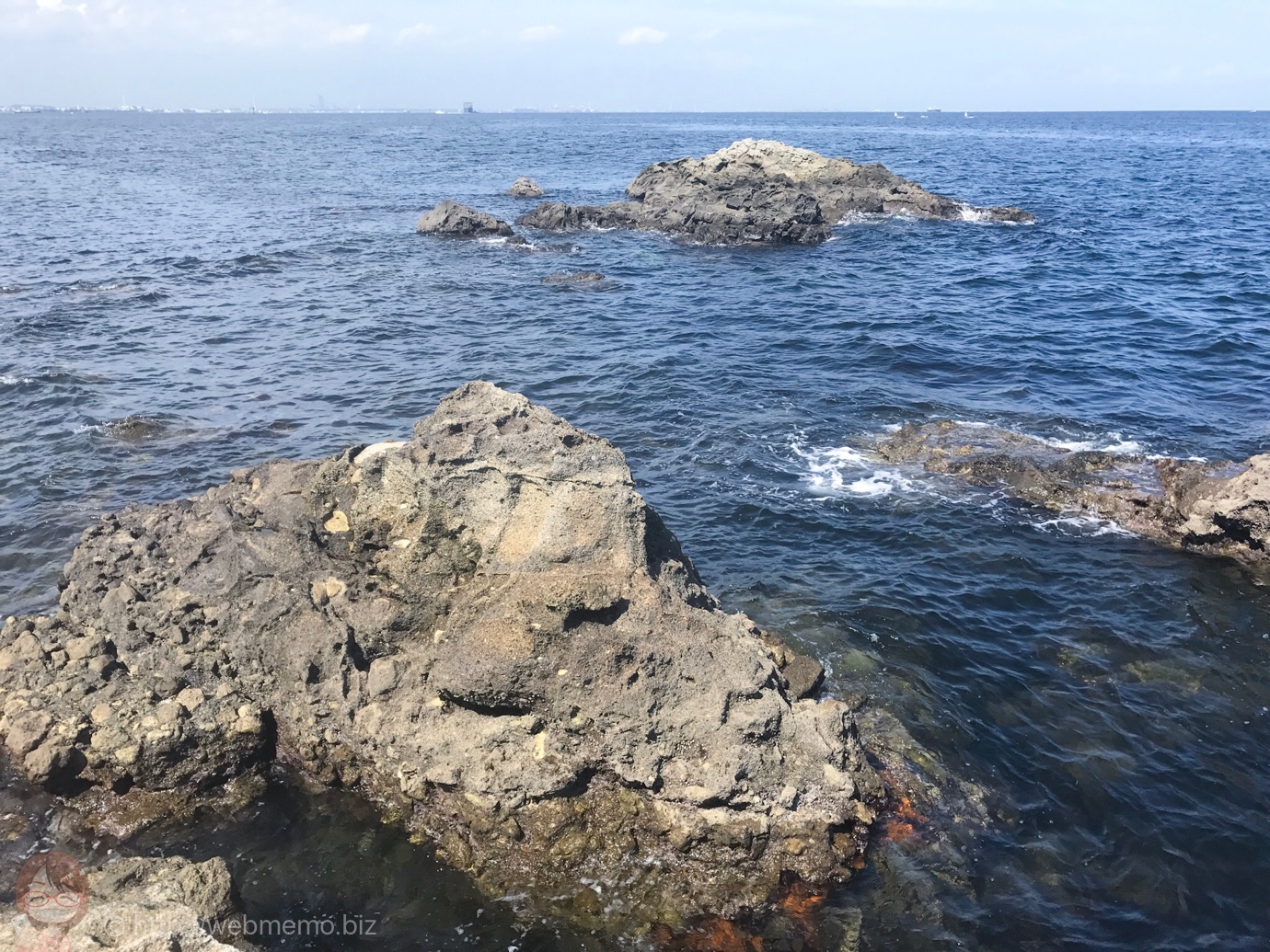 神奈川県・猿島の磯(オイモノ鼻)で初釣り!大きめギンポとベラが多めの釣果