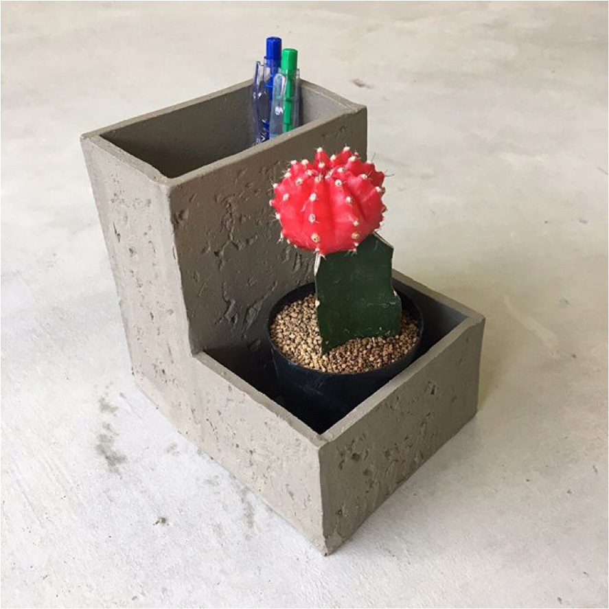 サボテンを愛でるペン立て