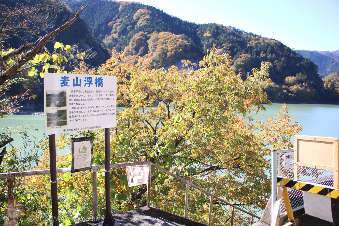 麦山浮橋