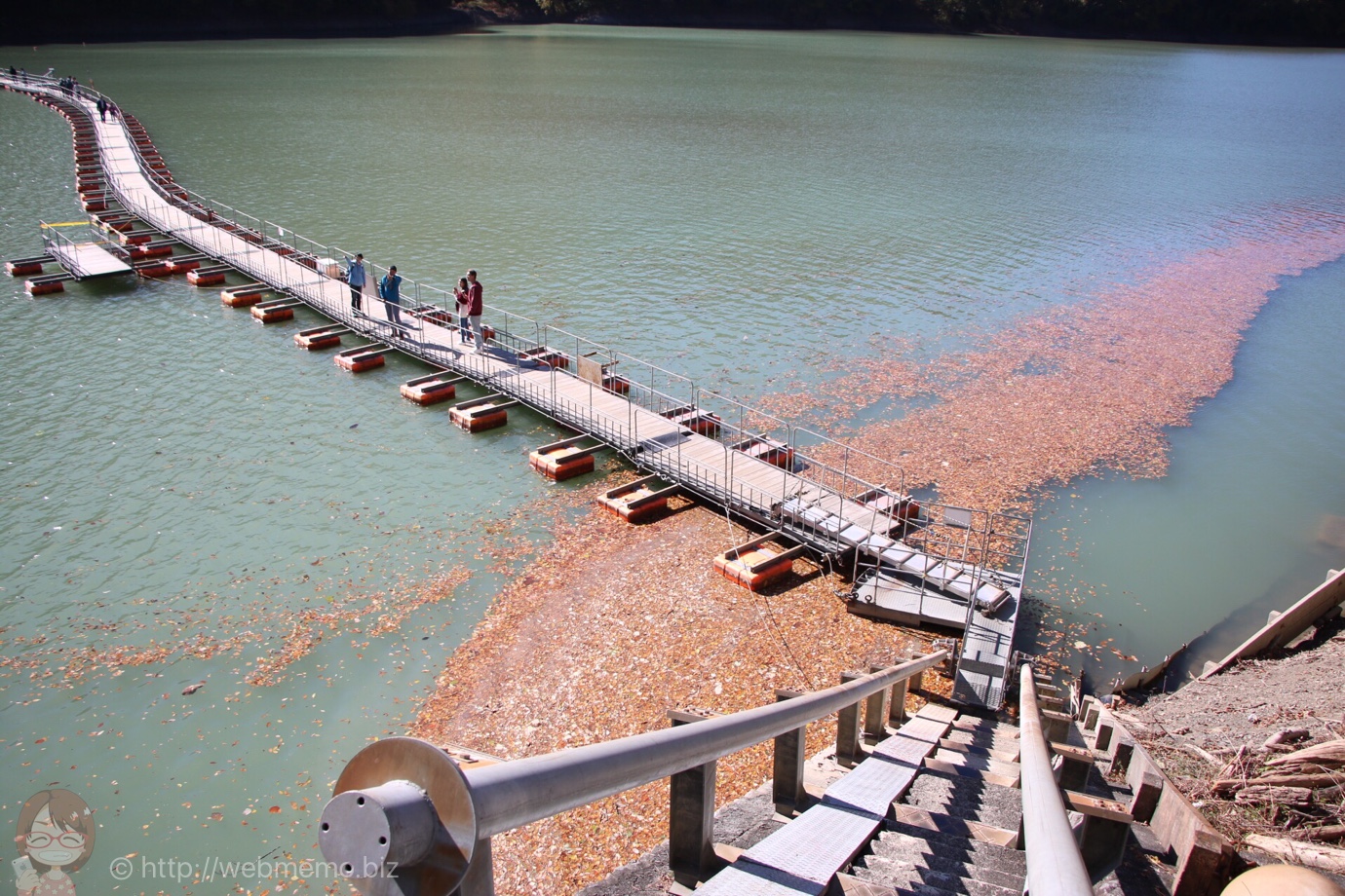 麦山浮橋