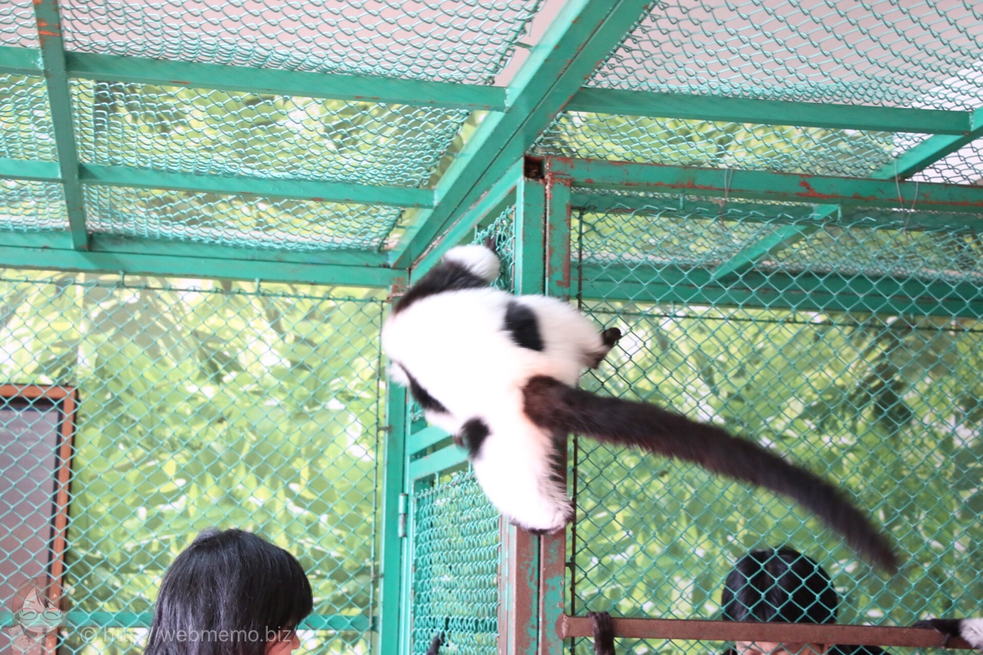 お猿さん触れ合い広場