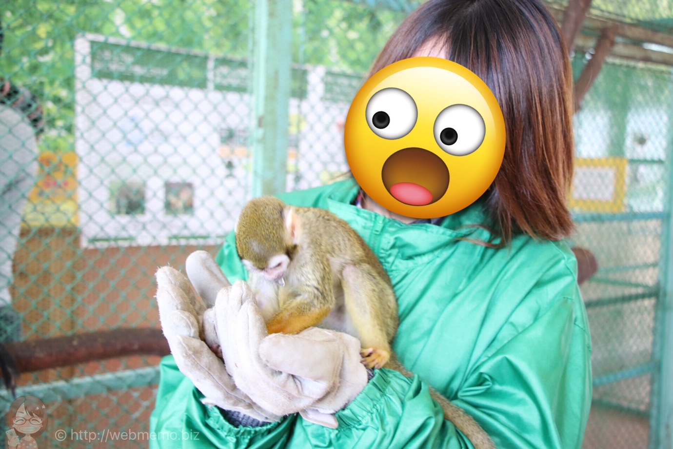 手の上のリスザル