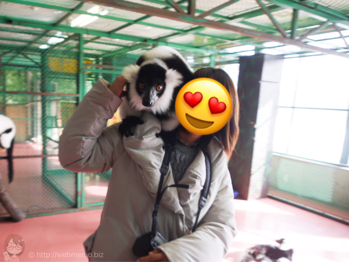 栃木県「那須ワールドモンキーパーク」の頭や肩に飛んでくるエリマキキツネザルが楽しすぎ!一生の思い出に